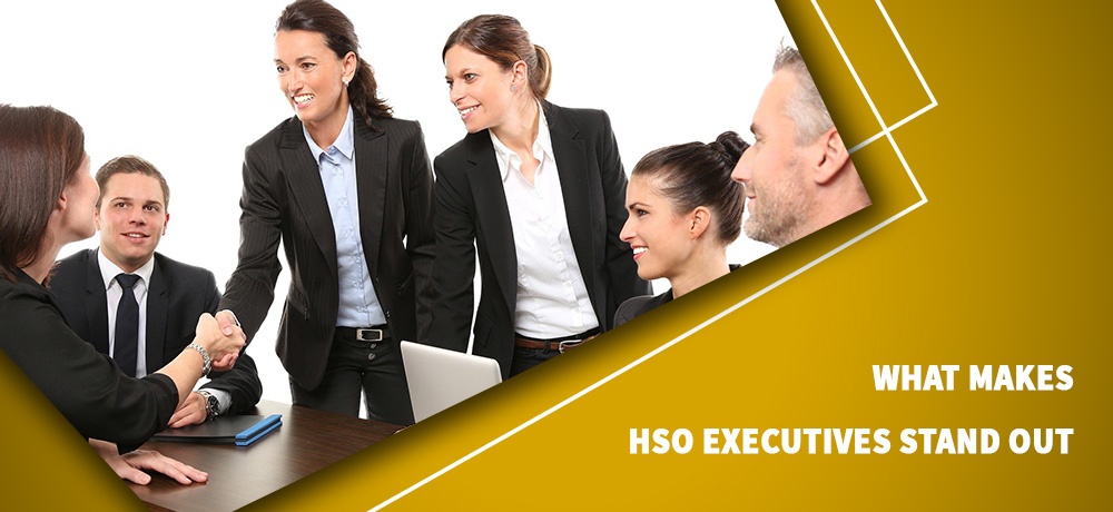 What Makes HSO EXECUTIVES Stand Out